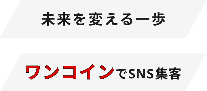 ワンコインSNS運用